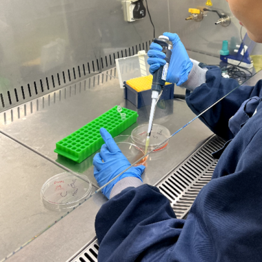 Seeding cells for a particular experiment