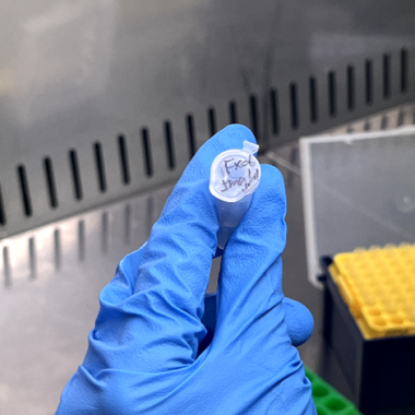 Preparing reagents